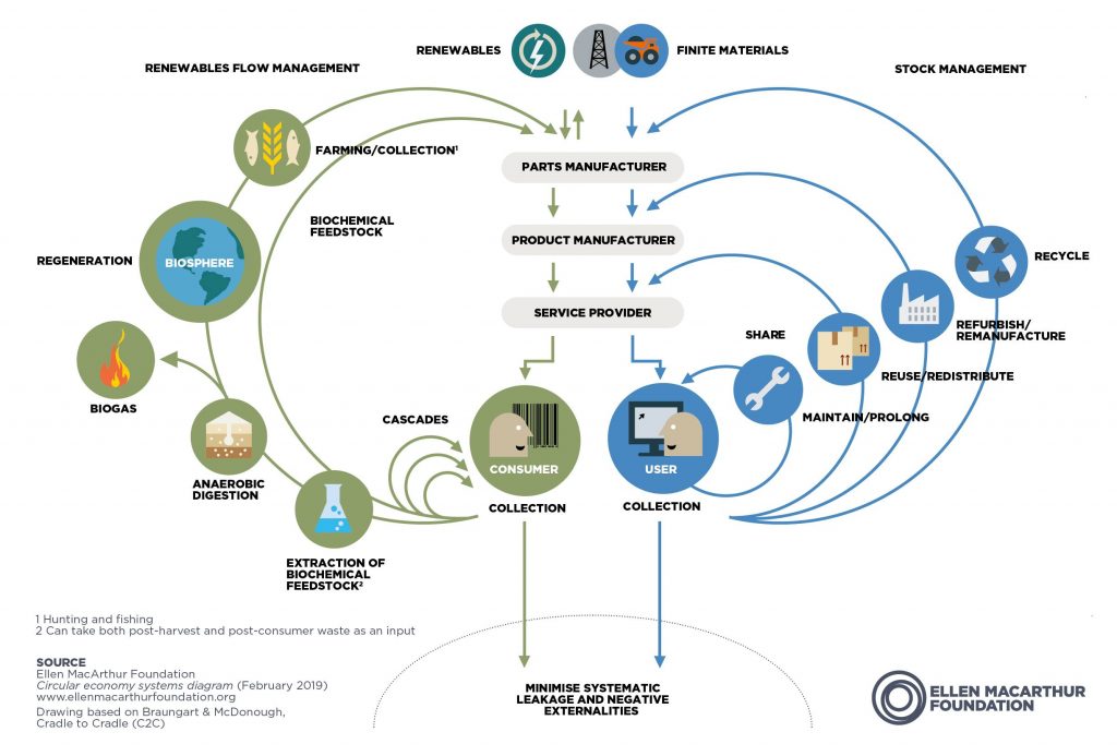 Butterfly-Infographic Butterfly-Infographic